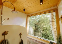 Une jolie salle de douche donnant sur la campagne